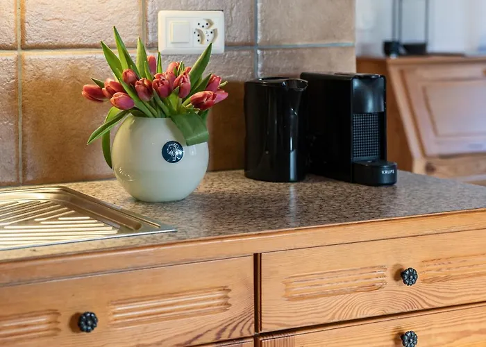 Les Patineurs Appartamento Champéry